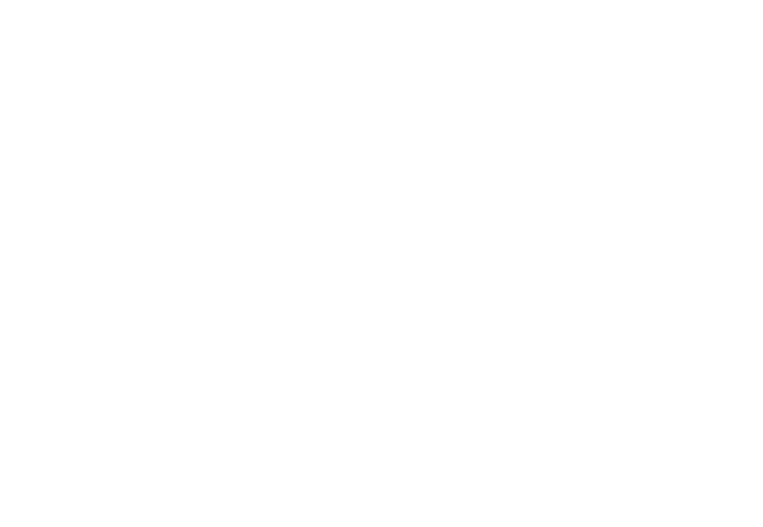 play to z logo